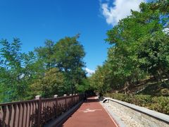 -星海湾跨海大桥