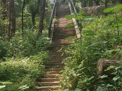 -东湖落雁景区