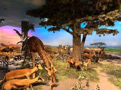 -国家自然博物馆