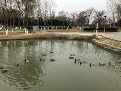 -西安浐灞国家湿地公园