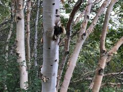 -白草畔自然风景区