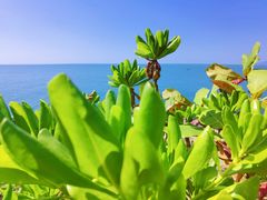 -三亚西岛海洋文化旅游区