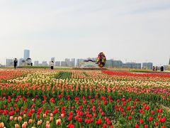 -南通鲜花小镇