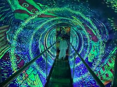-梵高星空艺术馆(北京旗舰店)