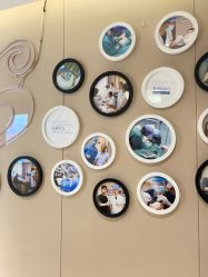 点击看大图 -厦门美莱整形美容医院