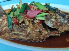 -阿鹏故事云南野生菌火锅(人民路店)