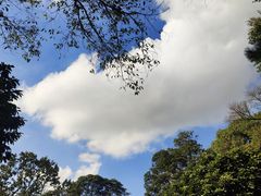 -杭州植物园