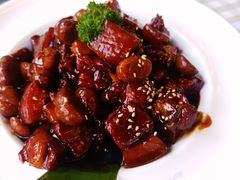 -京北渔家傲