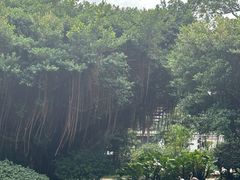 -九龙公园
