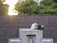 -广州市基督教东山堂