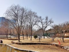 -西海子公园