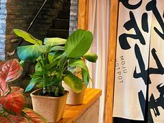 -墨居上隐·院子里火锅(峨眉店)