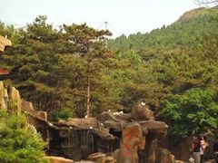 -燕塞湖鸟语林景区