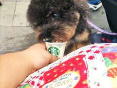-星巴克(珠海仁恒滨海中心店)
