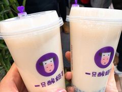 -一只酸奶牛(八一路店)