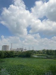-雅馨国际月子中心