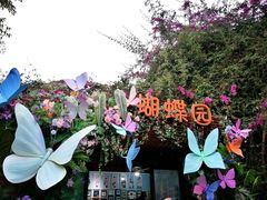 -野象谷景区