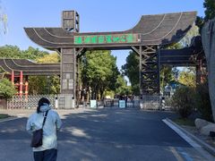 -溱湖国家湿地公园