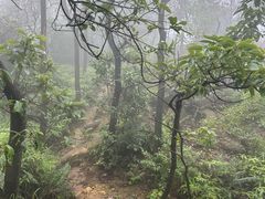 -羚羊峡古栈道森林公园