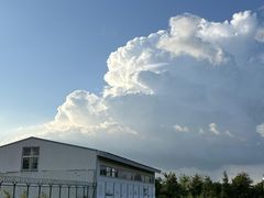 -瑶湖郊野森林公园