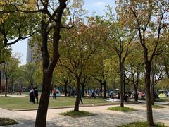 -新江湾城公园
