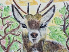 -甲乙果 美术书法(通州校区)