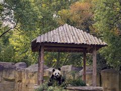 -上海野生动物园