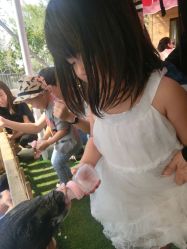 -萌宠亲子动物乐园(槐房万达店)