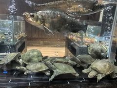 -许家菜(望江店)