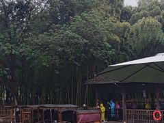 -乌镇东栅景区