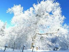 -雪谷