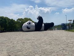 -苏州太湖国家湿地公园