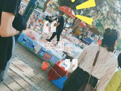 游乐设施-沈阳南湖公园