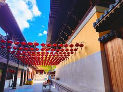 -亭林园-华藏寺