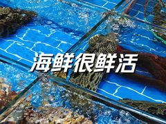 -老船长海鲜大排档(集美店)