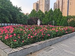 -丰台花园