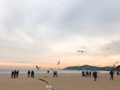 -海云台海滩
