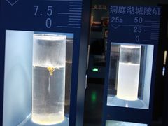 -青藏高原自然博物馆