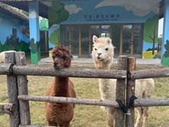 -祥源·阜阳生态乐园