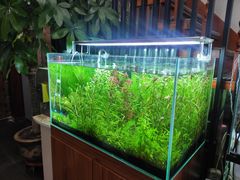 -繁花足道(梅江店)