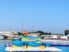 -秦皇岛乐岛海洋王国