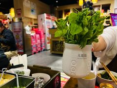 -大龙燚火锅(春熙店)