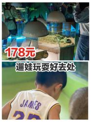 -七巧国萌宠乐园(龙湖天街店)