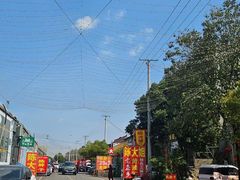 -彭大姐老店黄辣丁(新津店)