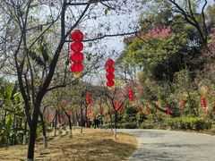 -广州市帽峰山景区