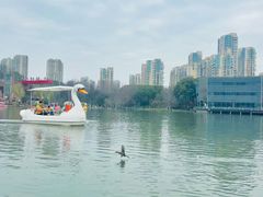 -青枫公园