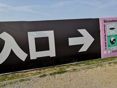 -潍坊滨海云门国际风筝放飞场