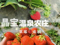 -晶宝温泉农庄