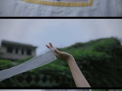 -枸杞岛