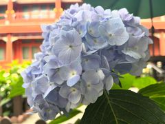 -北京石刻艺术博物馆(五塔寺)